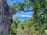  40 Acres Two Feathers Road - Photo 4