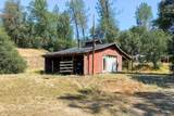 17711 Fuzzy Lane - Photo 4
