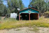 17711 Fuzzy Lane - Photo 5