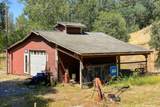 17711 Fuzzy Lane - Photo 6
