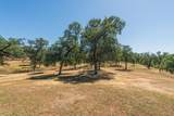 13575 Gas Point Road - Photo 49