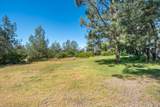 27577 Camino Real - Photo 44