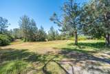 27577 Camino Real - Photo 45