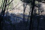  Fenders Ferry Road - Photo 18