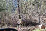  Fenders Ferry Road - Photo 20