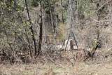  Fenders Ferry Road - Photo 24