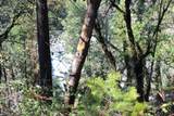  Fenders Ferry Road - Photo 6