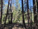 Lot 16 Arbor Lane - Photo 1