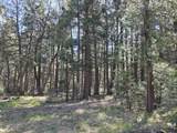 Lot 16 Arbor Lane - Photo 4
