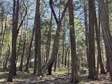 Lot 16 Arbor Lane - Photo 5