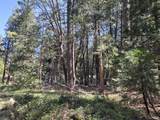 Lot 16 Arbor Lane - Photo 6