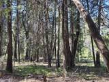 Lot 16 Arbor Lane - Photo 7