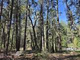 Lot 16 Arbor Lane - Photo 8