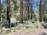 33117 Sites Road - Photo 1
