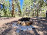 33117 Sites Road - Photo 11