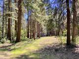 33117 Sites Road - Photo 13