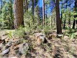 33117 Sites Road - Photo 14
