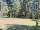 33117 Sites Road - Photo 15