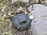 33117 Sites Road - Photo 20
