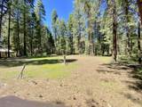 33117 Sites Road - Photo 6