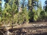 NSA Anderson Ranch Road - Photo 10