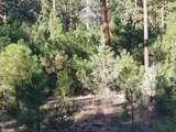 NSA Anderson Ranch Road - Photo 9