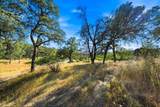 14477 Argonaut Trail - Photo 4