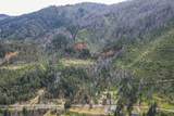 710 Dutch Creek Road - Photo 12