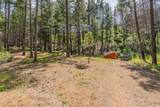 710 Dutch Creek Road - Photo 32