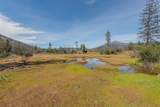 710 Dutch Creek Road - Photo 34