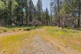 710 Dutch Creek Road - Photo 7