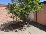 251 Aurora Avenue - Photo 5