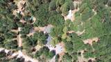 28936 Shingle Creek Lane - Photo 4