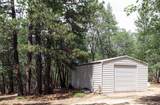 28936 Shingle Creek Lane - Photo 5