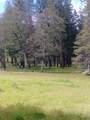 1411 Mcalexander Road - Photo 1
