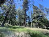 1411 Mcalexander Road - Photo 18
