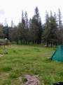 1411 Mcalexander Road - Photo 29