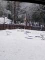 1411 Mcalexander Road - Photo 34
