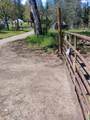 1411 Mcalexander Road - Photo 7
