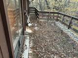 29140 Cow Creek Road - Photo 10