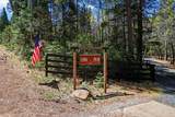 30726 Shingletown Ridge Road - Photo 67