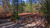 30726 Shingletown Ridge Road - Photo 70
