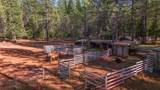30726 Shingletown Ridge Road - Photo 71