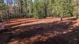 30726 Shingletown Ridge Road - Photo 73