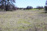 LOT 41 Del Mar Drive - Photo 14