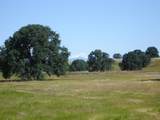 LOT 41 Del Mar Drive - Photo 8