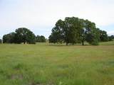 LOT 41 Del Mar Drive - Photo 9