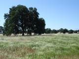 LOT 64 River Downs Way - Photo 4