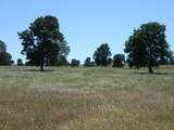 LOT 71 Arlington Park Place - Photo 14