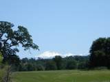 LOT 9 River Downs Way - Photo 3